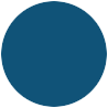 Blue Circle Avatar