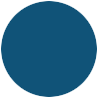 Blue Circle Avatar